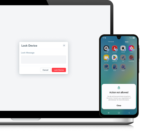 Remote security controls